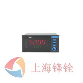 DY5000(D)系列多路巡檢控制顯示儀表